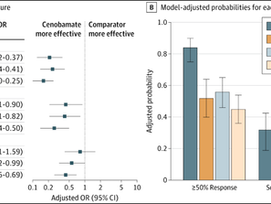 Comparative Effectiveness of Brivaracetam, Cenobamate, Lacosamide, and Perampanel in Focal Epilepsy