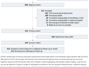 Lifelong De Novo Aneurysm Risk After Aneurysmal Subarachnoid Hemorrhage in Young Survivors