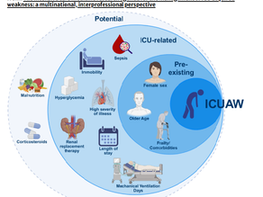 The intensive care medicine research agenda for the management of ICU acquired weakness: a multinational, interprofessional perspective