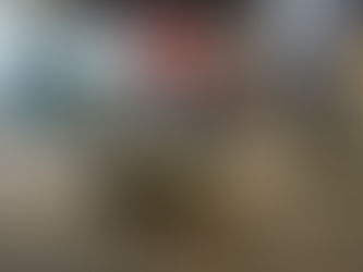 Mackenzie é alvo de vandalismo em protesto