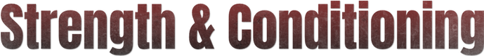 Strength & Conditioning_title.png