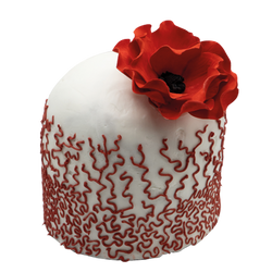 Panettone Decorato Perù