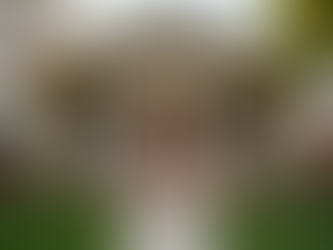 Investing in Your Dream Home in West Valley