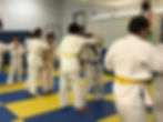 More than just Judo: