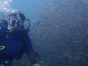 5 Nights 6 Days Package