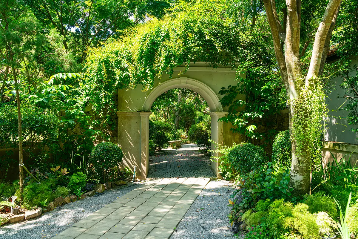 Arche de Jardin servant de support à des plantes permettant la création d'un espace ombragée