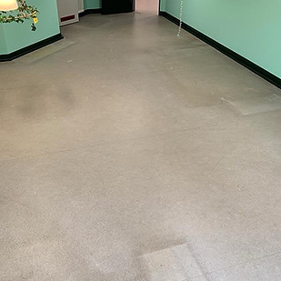 Linoleum_alt