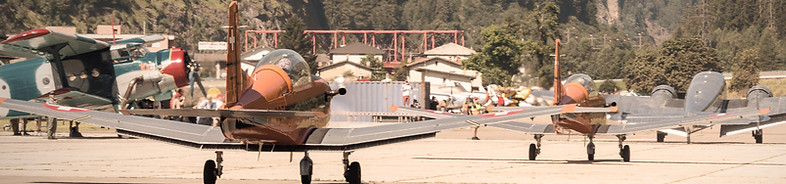 _DSC3902_edited.jpg