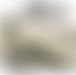 Sciamo indietro nel tempo