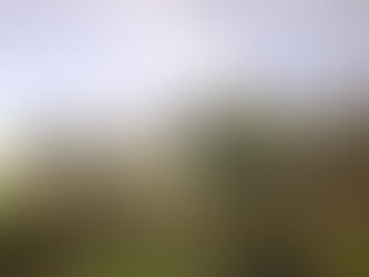 Tarocchi e Counseling: per convivere con l’ignoto