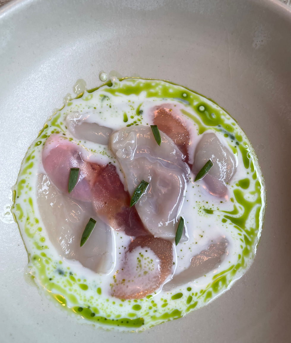 KOL - scallop, beetroot, apple, buttermilk and lemon balm