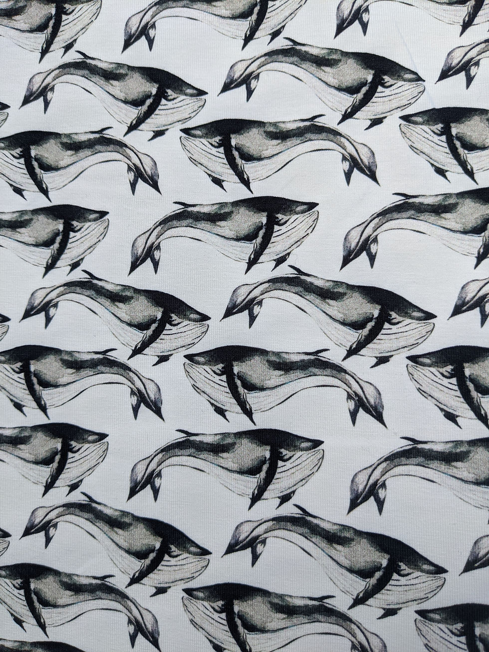 Thumbnail: Whale Cotton Jersey Fabric 