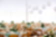 Wedding Tent