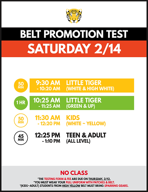 TJT_Belt Test_260214.png