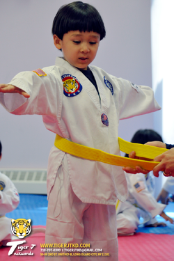Belt Promotion Test 4/18/15