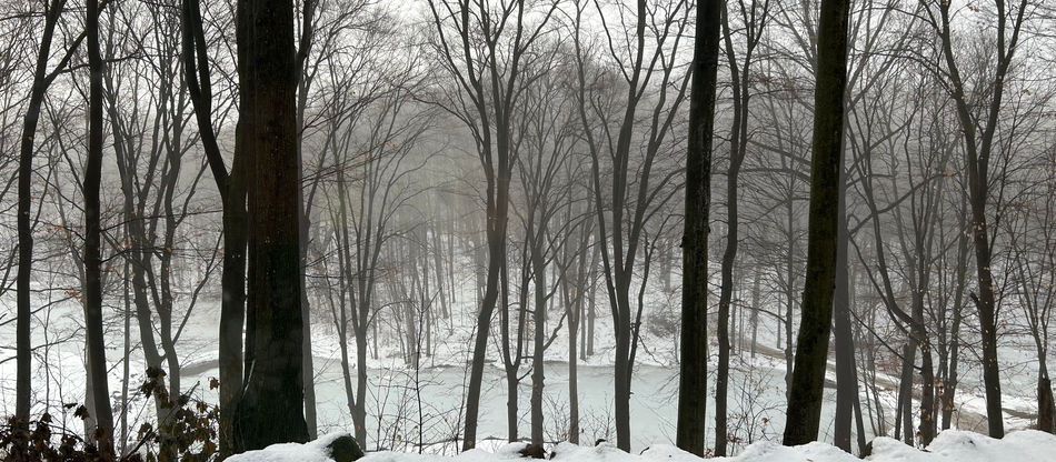 A Retreat About Nothing
