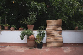 SB_10534.jpg