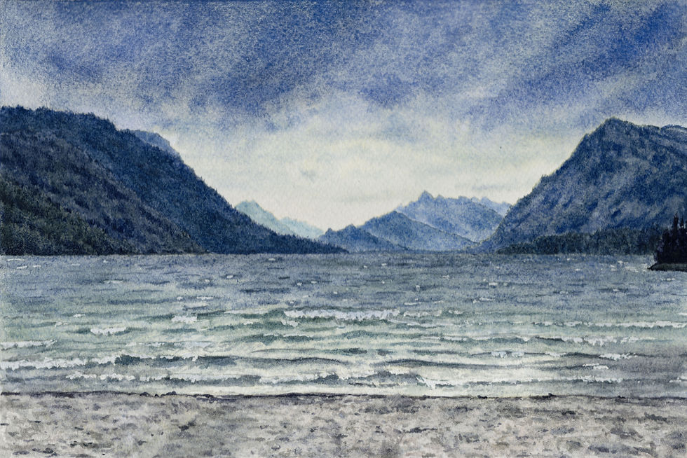 Copy of img20241219_20054635 copy.jpg