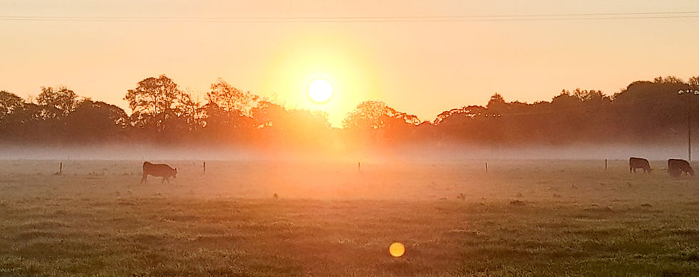 longer sunset edit _edited.jpg