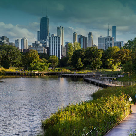 Smart Tree Inventories Webinar: A Practical Step Toward Clearer Urban Tree Management