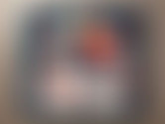 (BSMP) Scholarship for Internship in a Practice Environment Program in Québec ($1500 per month)