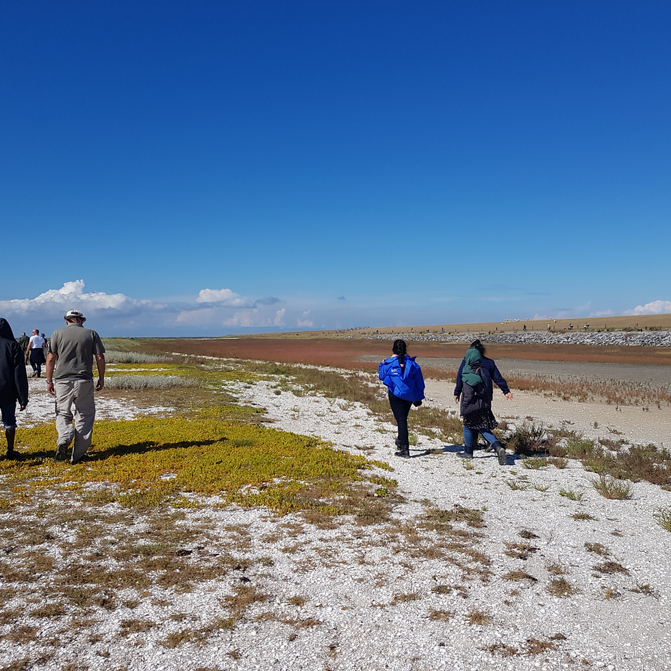 IHE Delft SIDS Scholarship 2026 — Fully Funded MSc in Water and Sustainable Development in the Netherlands for Small Island Developing States