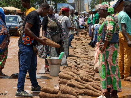 Young Impact Associates in Agrifood Systems Fellowship 2025 (YIA Fellowship)