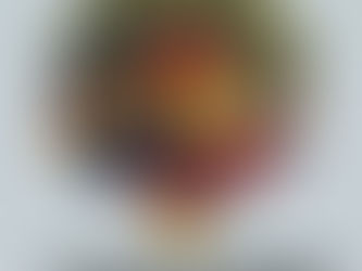 Transilvania Academica Scholarship 2025 at Transilvania University of Brașov in Romania