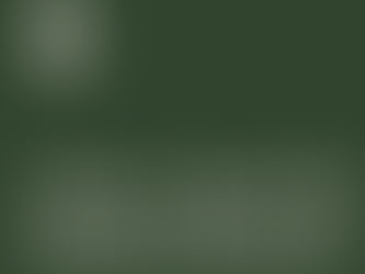 Ashton Award for Student Research 2025