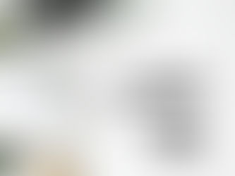 Digital Global South Fellowship (DGSF) at C²DH