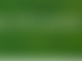 UPG Sustainability Leadership Programme 2025-2026