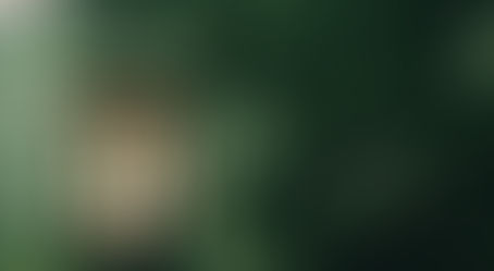 Xi’an Jiaotong University (XJTU) Chinese Government Scholarship 2026