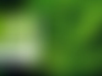 NVIDIA Graduate Fellowship Program 2026-2027