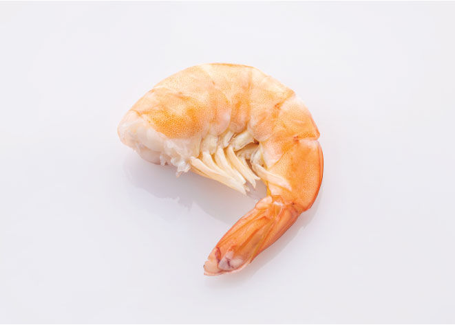 PCC-EC-2025-Web-HLSO-COOKED.jpg