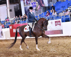 0234F-096-21SA Smith