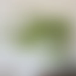 表情を整えることは、老い方をゆるやかにすること
