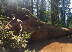 21032630_10155795466958578_321443717843829310_n