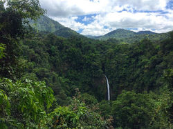 29790267_10156421182628578_5355178923770805110_n