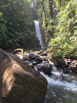 30261887_10156425857198578_2185039207108444160_n