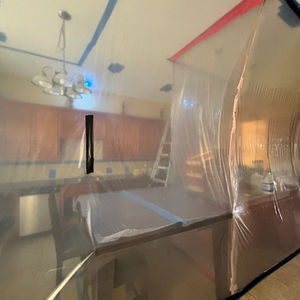 Dexter the mold spatter analyst