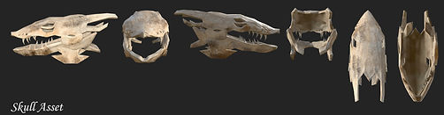 Skull Turnaround.jpg