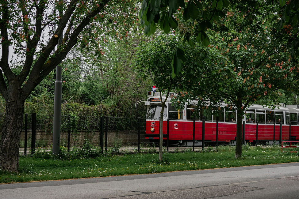grünflächenbetreuung.jpg