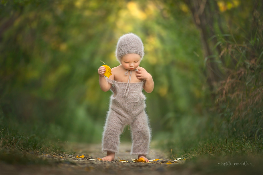 Grande Prairie Photographer, Grande Prairie