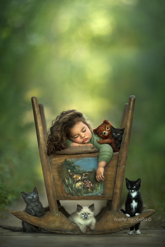 Testimonials Noellemirabella