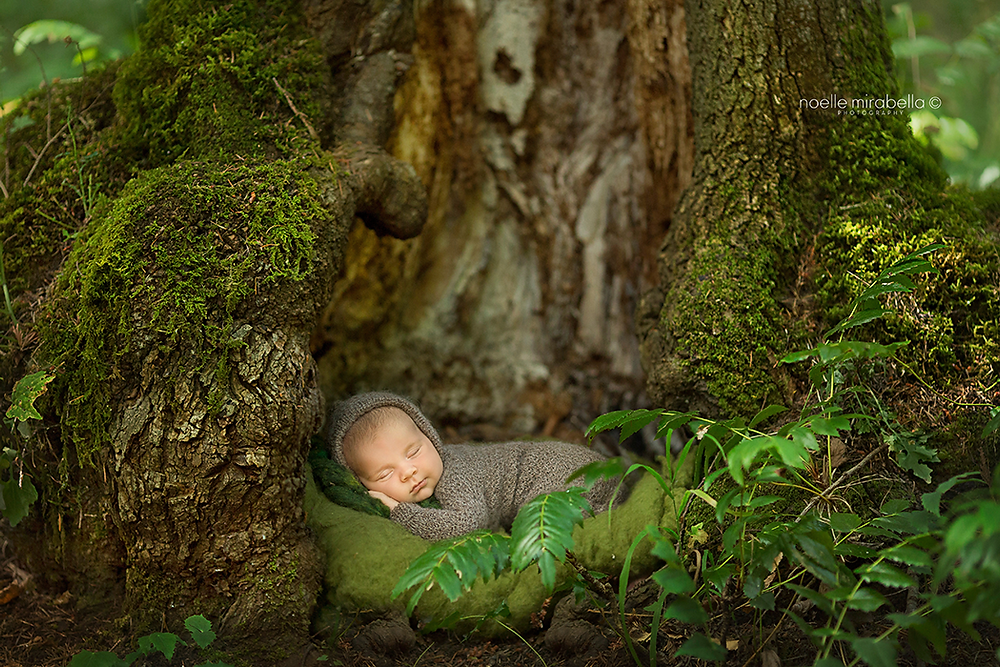 Grande Prairie Photographer, Grande Prairie