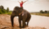 Ride an Elephant.jpeg