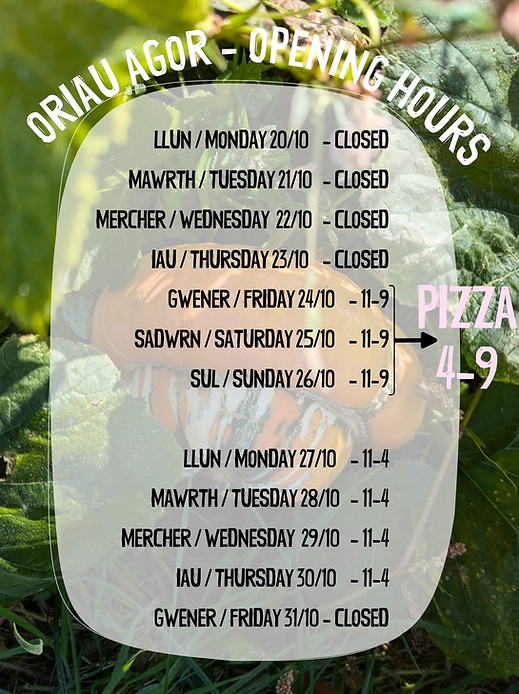 pumpkin patch ty cynan.jpg