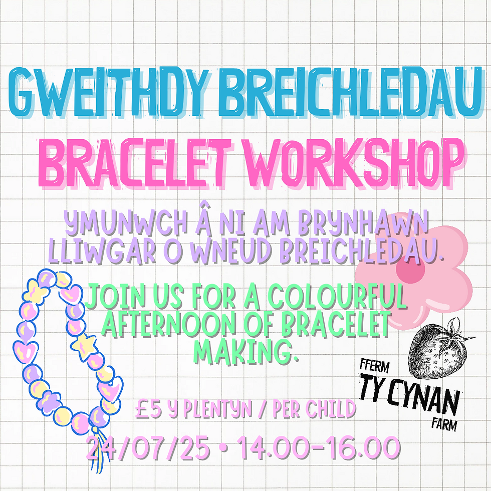 Gweithdy Breichledau - Bracelet Workshop