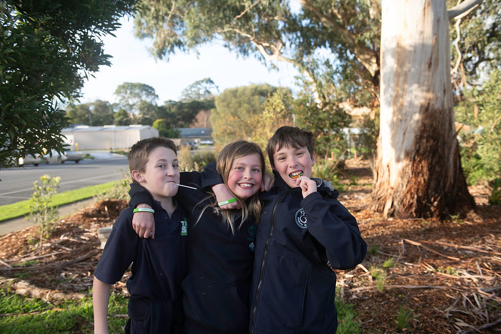 852_3445-Edit copy (2)