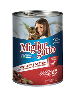 chat viande 405gr.jpg